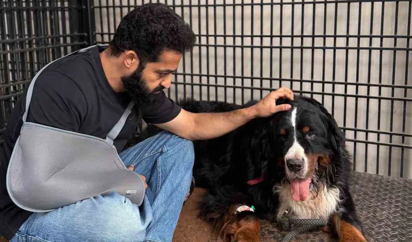  ప్రాణంగా చూసుకునే పెంపుడు కుక్క ‘బఘీరా’ మృతి!